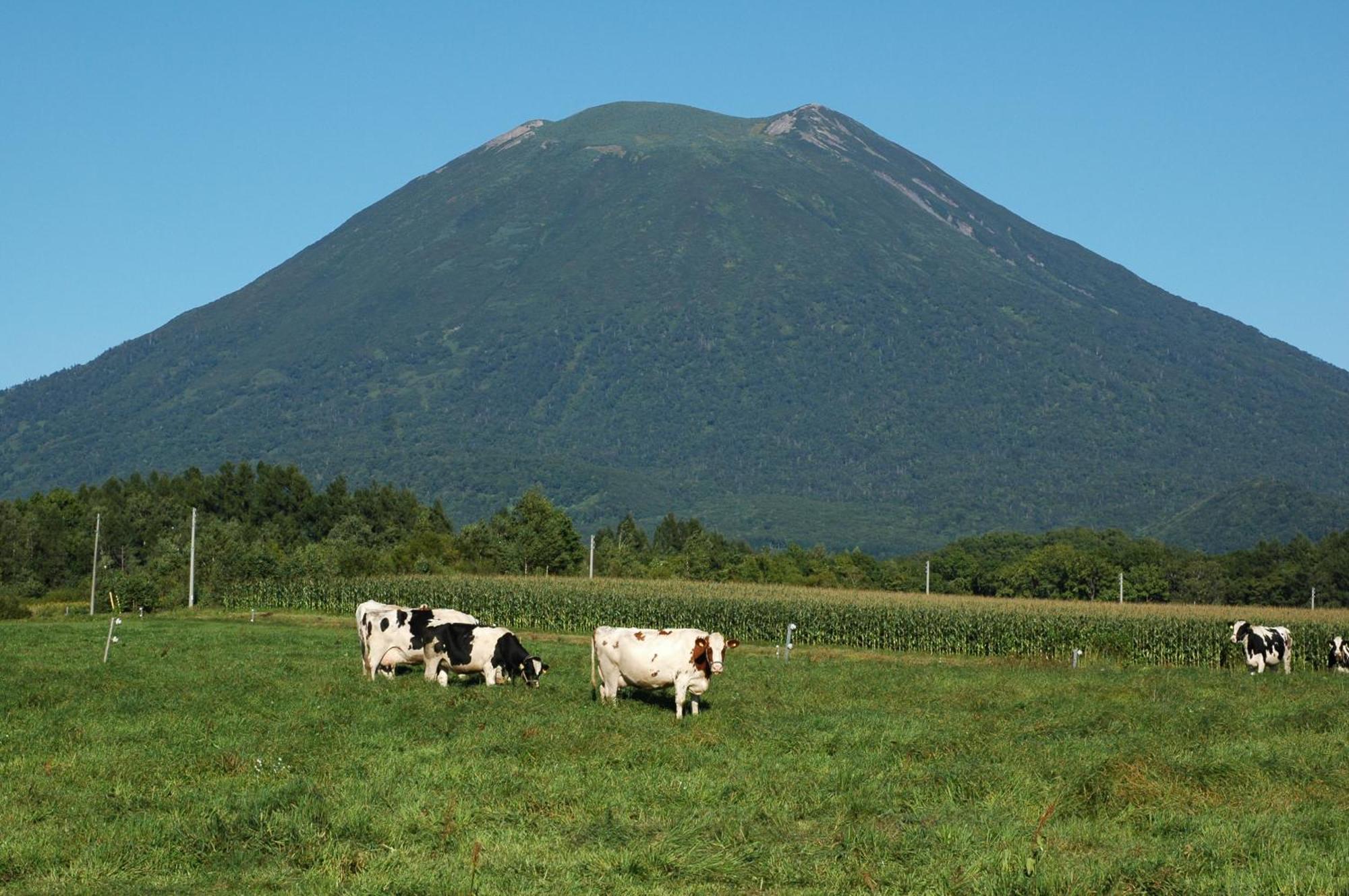 Niseko Highland Cottages Exterior foto